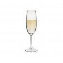 Champagner Glas Champagne Flute/Primetime 
