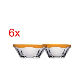 6er Set Glasschalen mit plastik Deckel
